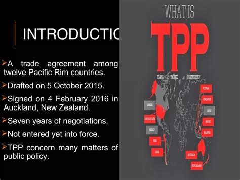 Transitional Partnership Program 的图像结果