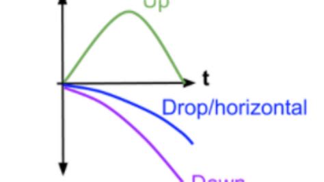 Image result for Graphing Projectile Motion
