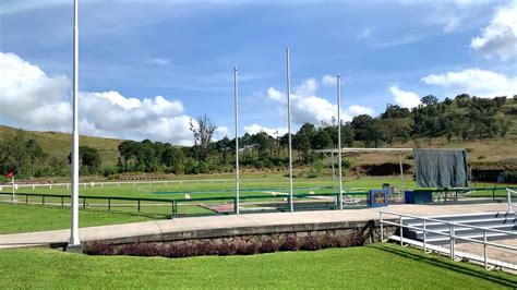 Consideraciones al elegir alas para tiro tradicional