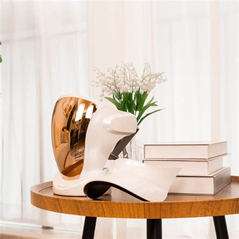 Image result for LED Mask Instructions