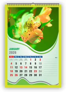 Pixel 6 Sheeter Scenery 2026 Wall Calendar Price in India - Buy Pixel 6 ...