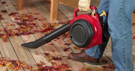 Flying Using Leaf Blowers 的图像结果