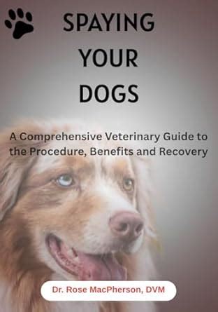 Spaying Your Dogs: A Comprehensive Veterinary Guide to the Procedure ...