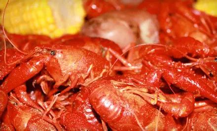 Ragin Cajun in | Groupon