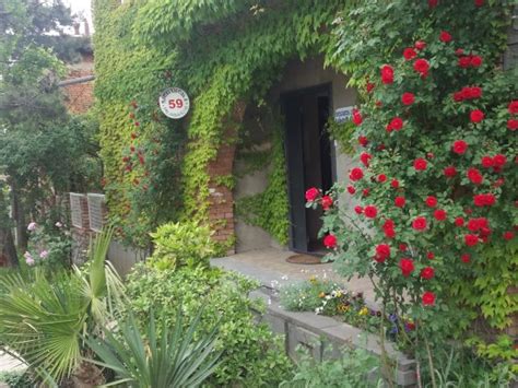 NELI & ZAAL GUEST HOUSE (Telavi) - Lodge Reviews, Photos, Rate ...