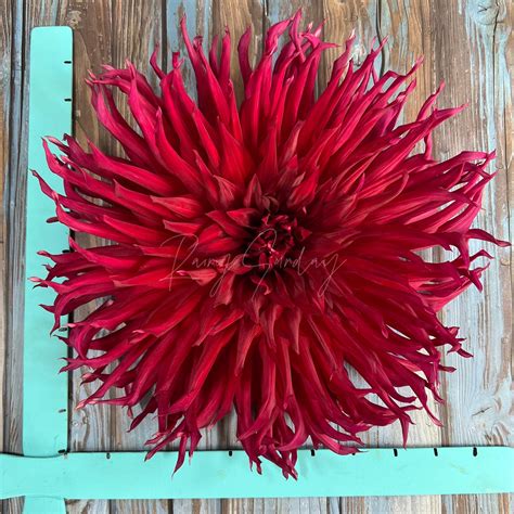 Taum Sauk - RainySunday