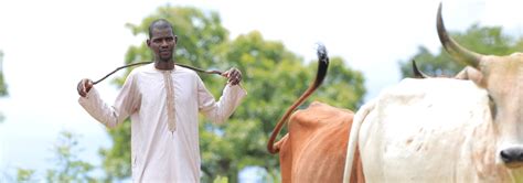West and Central Africa Transhumance Crisis Response Plan 2024 | Global ...