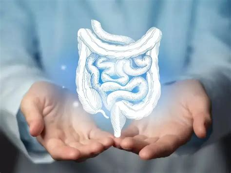 6 foods that reduce bloating and provides calm gut - Why bloating ...