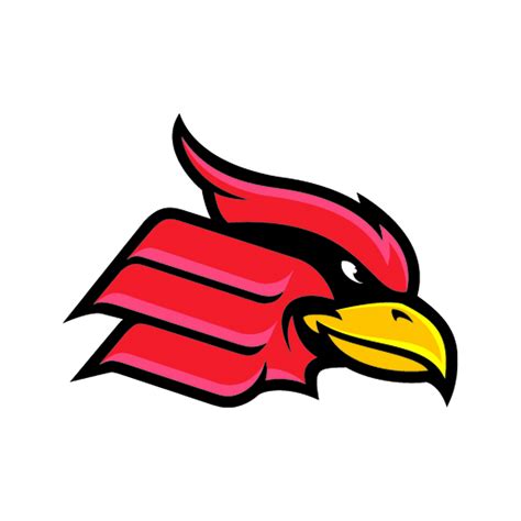College and University Track & Field Teams | Wheeling Jesuit University