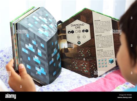 Image result for Python Minecraft Book