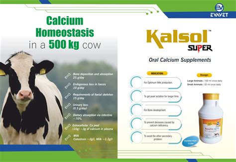 EVAVET HEALTHCARE PVT LTD – Our Innovation Your Health