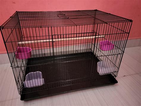 AVI CRAVE Bird Iron Cage For Budgies,Finches,Love Birds,Cocktails ...