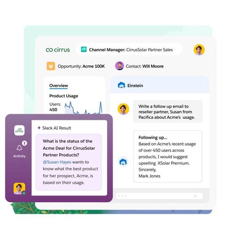 Partner Relationship & Channel Sales Management | Salesforce India