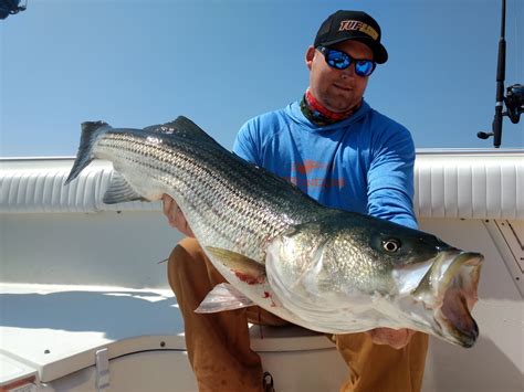 Big Game Sport Fishing RI. Fishing Reports: May 2018