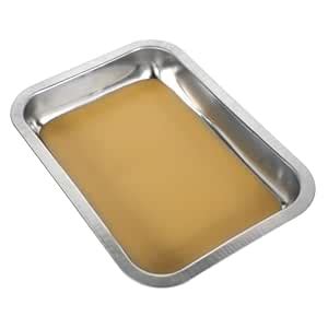 Mobestech Stainless Steel Dissection Tray for Biology Lab Experiments ...