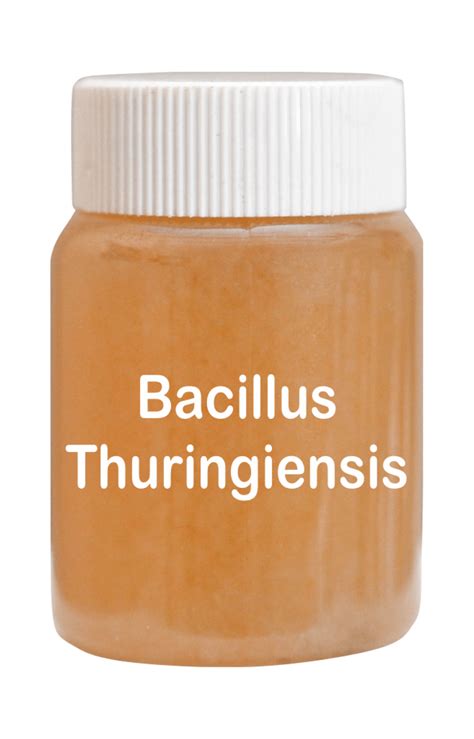 Bacillus Thuringiensis - anbr