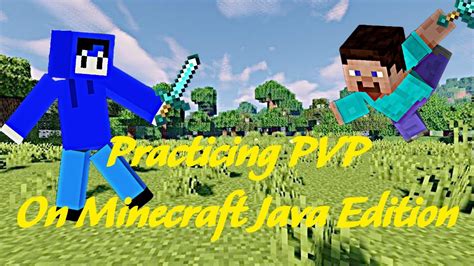 McPVP Java 的图像结果