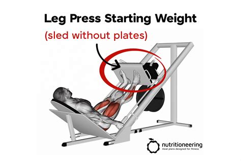 Seated Leg Press Diagram