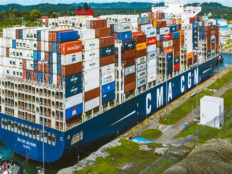 Exports of agri products from Northeast India jump 85 pc in 6 years