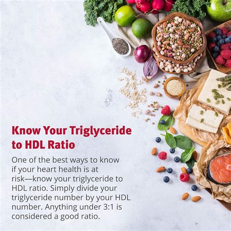 Dr.Sinatra Dr. Sinatra Advanced Cholesterol Solutions Heart India | Ubuy