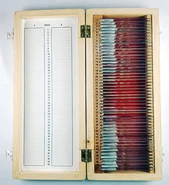 Comet Prepared Microscope Slides Set of 50 in Wooden Box – Educational ...