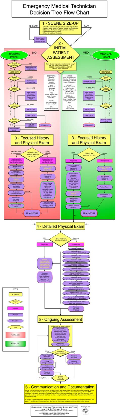 EMT 101 - Patient Assessment Flow Chart Study Guide - Studocu
