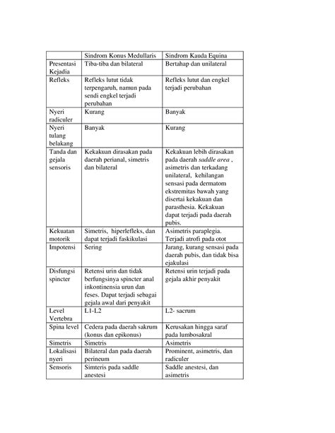 (DOCX) Sindrom Konus Medullaris dan kauda equina - DOKUMEN.TIPS