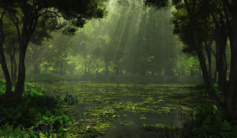 🔥 [80+] Nature Rain Wallpapers | WallpaperSafari
