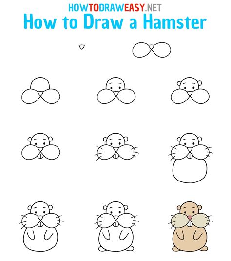 How to Draw a Hamster for Kids - How to Draw Easy