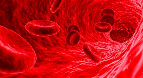 Image result for Blood Gang Handshake Tutorial