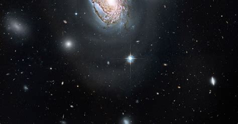 Alien Facts 的图像结果