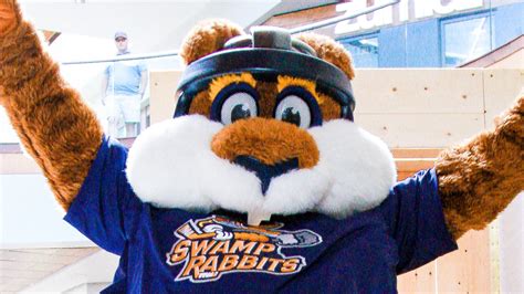 Greenville Swamp Rabbits announce home schedule for 2020-21 season