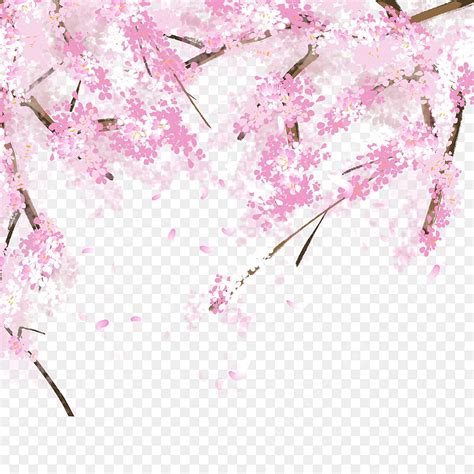 Cherry Blossom Petals PNG Transparent, Beautiful Cherry Blossom Petals ...