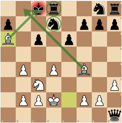 Image result for Example of Checkmate