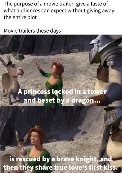 Image result for Shrek Script Memes