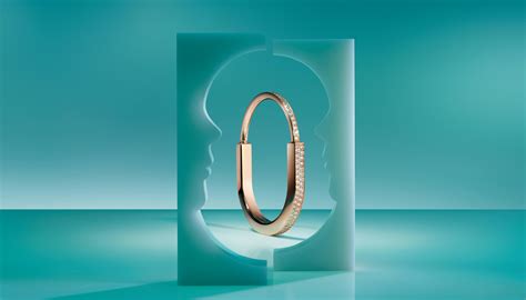 IT Application Assistant Manager - Tiffany & Co. -... - LVMH