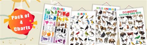 Buy Set of 4 Domestic Animals and Pets, Wild Animals, Birds and Colours ...