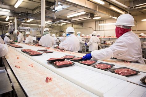 Image result for Beef Processing Plant Design