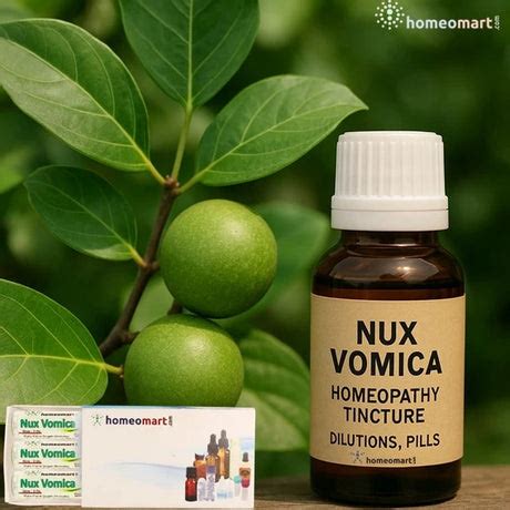 Top Homeopathy Medicines list for Anger, Short Temper Control – Homeomart