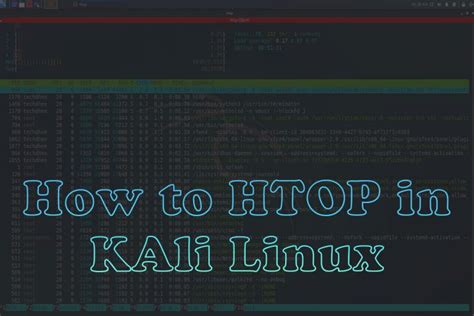 Image result for Kali Linux Install Selection