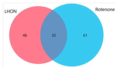 Increased Protein S-Glutathionylation in Leber’s Hereditary Optic ...