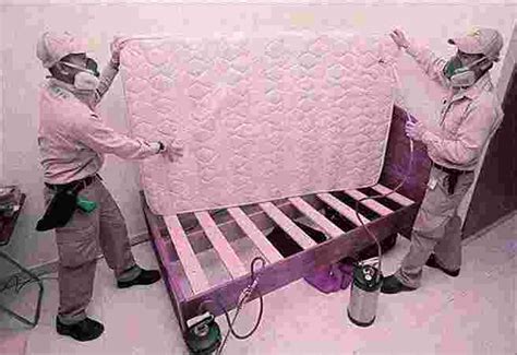 INSECT CARE PEST CONTROL - Top Pest Control Service Providers in Rajgir ...