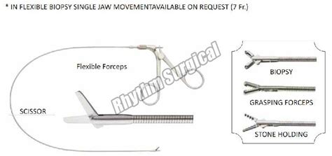 Hysteroscopy Instruments Manufacturer, Exporter & Supplier from ...