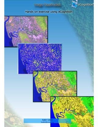 Image result for eCognition Object Detection Examples