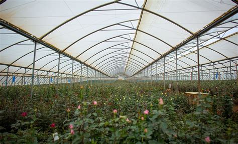 Image result for Scanner Code Java