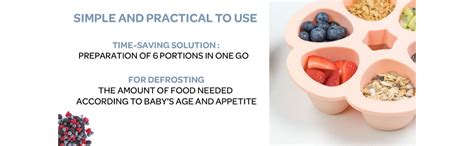 Buy Beaba Silicone Multiportion Tray with Airtight Lid for Baby Food ...