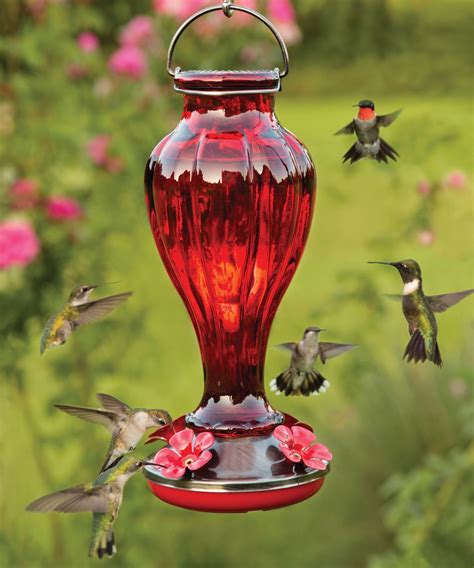 Blossom Hummingbird Feeder | Humming bird feeders, Glass hummingbird ...