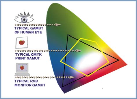 Extended Gamut Color Space 的图像结果