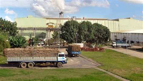 The KCP Limited :: Businesses - Sugar