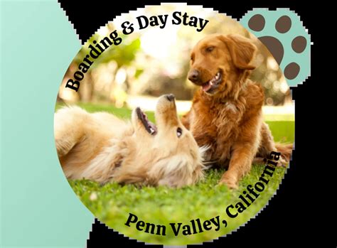 Dog Training Center in Penn Valley, California | Dog Trainer